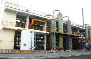 數字化轉型的引擎 寧波石化經濟技術開發區網絡技術服務企業走訪實錄